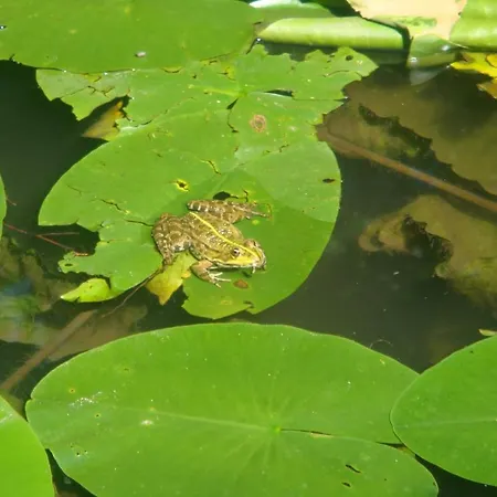 La Val Bed and Breakfast 2*