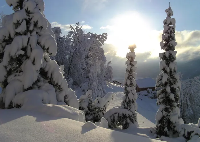 La Val Oda ve Kahvaltı Bonaduz