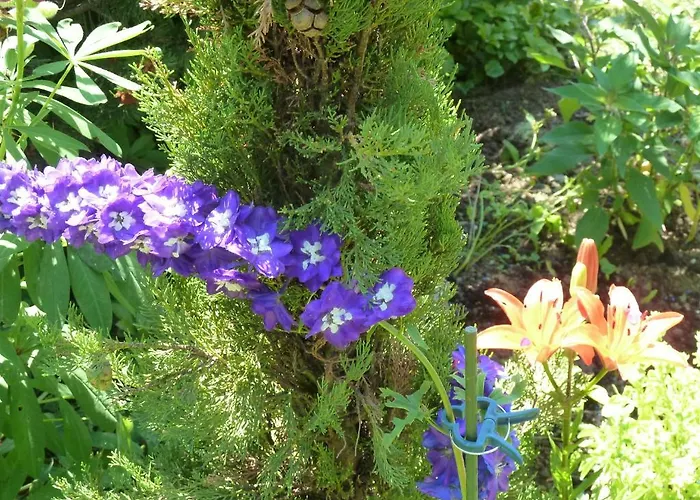 Oda ve Kahvaltı La Val 2*