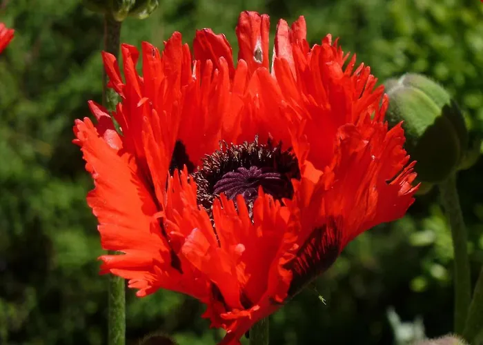 Oda ve Kahvaltı La Val Bonaduz