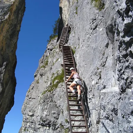 Alojamento de Acomodação e Pequeno-almoço La Val 2*