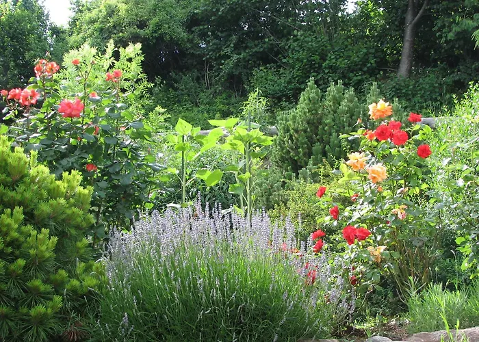 Bed & Breakfast La Val 2* Бонадуц