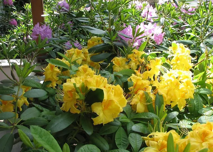 Bed & Breakfast La Val