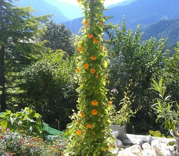 Bed & Breakfast La Val Отель типа 